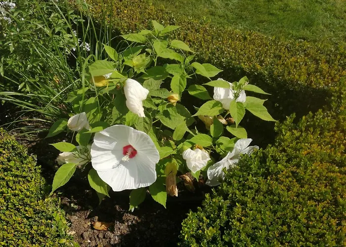 Le Pech De Sireuil Groléjac